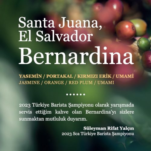 El Salvador Bernardina - 2023 SCA Turkey Barista Champion
